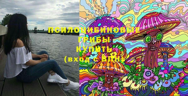 кокс Дмитровск