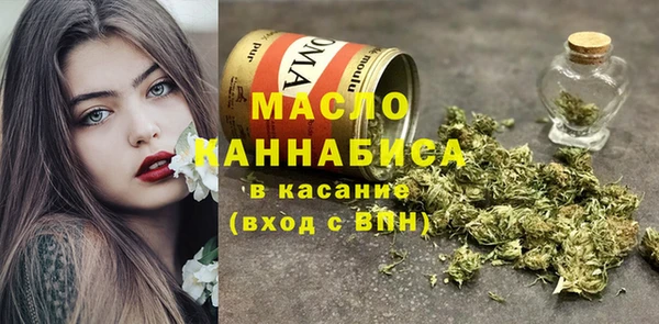 хмурый Белая Холуница