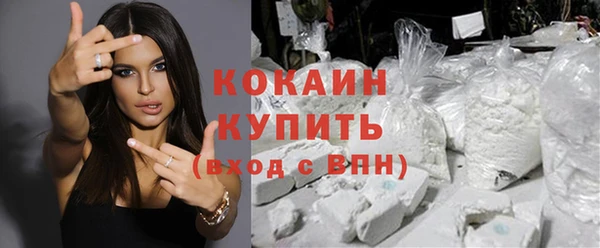 стаф Дмитров
