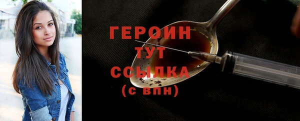 стаф Дмитров