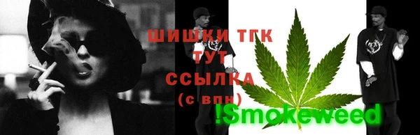 apvp Дмитриев