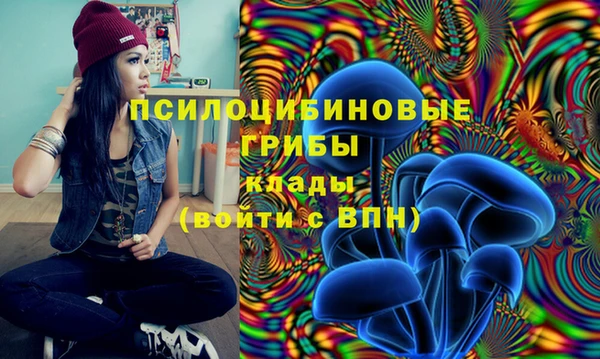 кокс Дмитровск