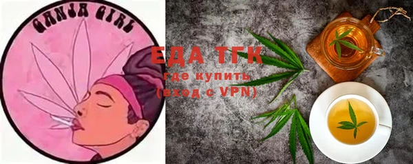 хмурый Белая Холуница