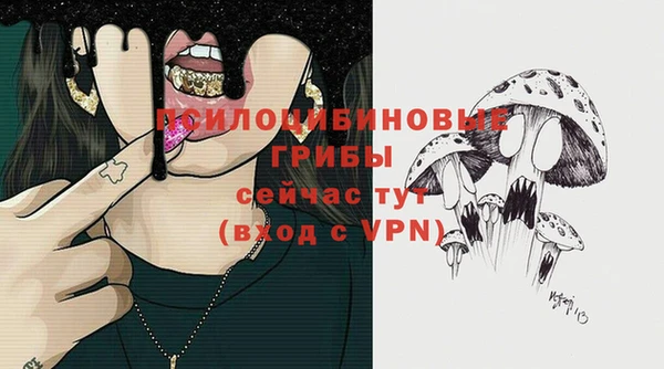 ГАЛЛЮЦИНОГЕННЫЕ ГРИБЫ Белая Калитва