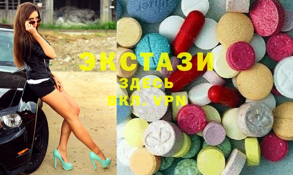 стаф Дмитров