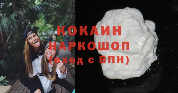стаф Дмитров