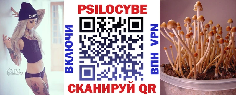 Галлюциногенные грибы Cubensis  ссылка на мегу сайт  Дрезна 